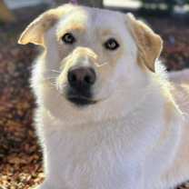 Thumbnail photo of Emma #1