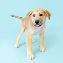 Thumbnail photo of Ernie #1