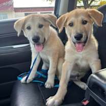 Thumbnail photo of Ernie #2