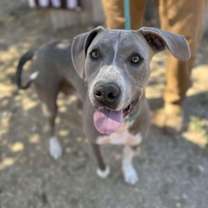 Thumbnail photo of Marley #4