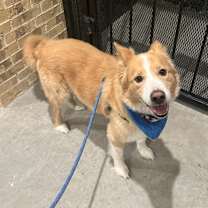 Thumbnail photo of Chance #1