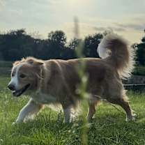 Thumbnail photo of Chance #2