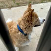 Thumbnail photo of Chance #3