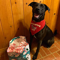 Thumbnail photo of Britt #2