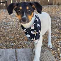 Thumbnail photo of Yeti #1