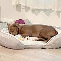 Thumbnail photo of Pearl #4