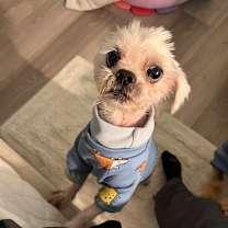 Thumbnail photo of Charlie Chance #4