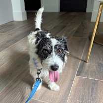 Thumbnail photo of Marshall Lee #2