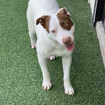 Thumbnail photo of Spot 3624 #2