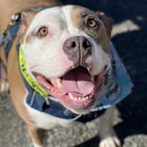 Thumbnail photo of Glinda #1