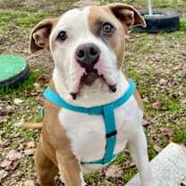 Thumbnail photo of Glinda #3