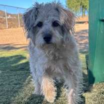 Thumbnail photo of Macy #2