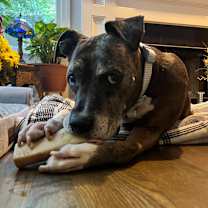 Thumbnail photo of Cameroon #2