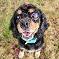 Thumbnail photo of Ellie #1