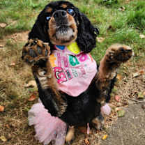 Thumbnail photo of Ellie #2