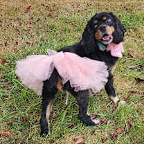 Thumbnail photo of Ellie #3