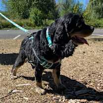 Thumbnail photo of Ellie #4