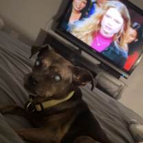 Thumbnail photo of Gertie #2