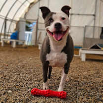 Thumbnail photo of Tuscaloosa #4