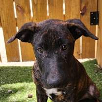 Thumbnail photo of Gruene LiW #3