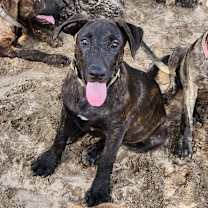 Thumbnail photo of Gruene LiW #1