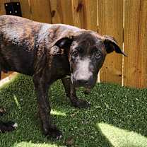 Thumbnail photo of Gruene LiW #4