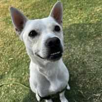 Thumbnail photo of Bryant #3