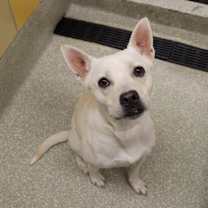 Thumbnail photo of Bryant #4