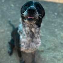 Thumbnail photo of Jax #2