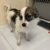 Thumbnail photo of Bobble #1