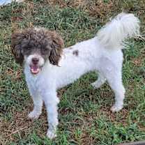 Thumbnail photo of Georgette #2