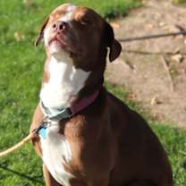 Thumbnail photo of Steve #2