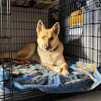 Thumbnail photo of Nebula #3