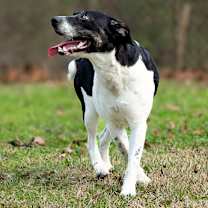 Thumbnail photo of Rocky Balbone #4