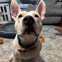 Thumbnail photo of Thurman #2