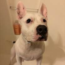 Thumbnail photo of Thurman #4