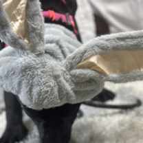 Thumbnail photo of Jessica Rabbit #3