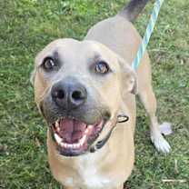 Thumbnail photo of Nathan #2