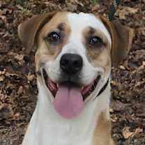 Thumbnail photo of Toby #1