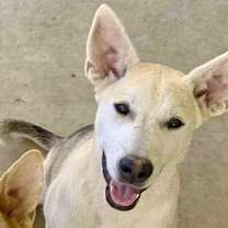 Thumbnail photo of Rei #1