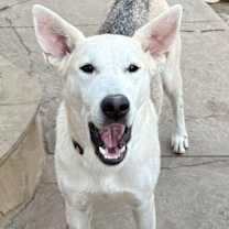 Thumbnail photo of Rei #3