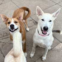 Thumbnail photo of Rei #4