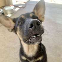 Thumbnail photo of Luke #4