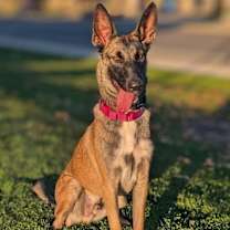 Thumbnail photo of Trooper #1