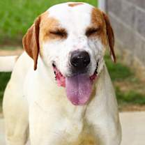 Thumbnail photo of Bartholomew #2