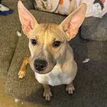 Thumbnail photo of Nia #2