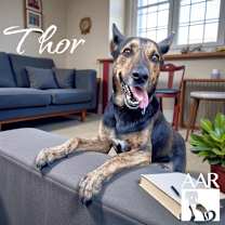 Thumbnail photo of Thor #3