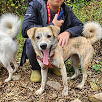 Thumbnail photo of Ma-eum #3