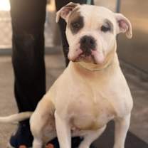 Thumbnail photo of Luna #1