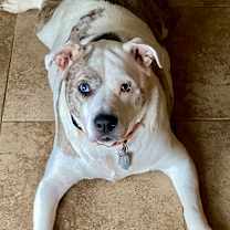 Thumbnail photo of Urban Legend #1